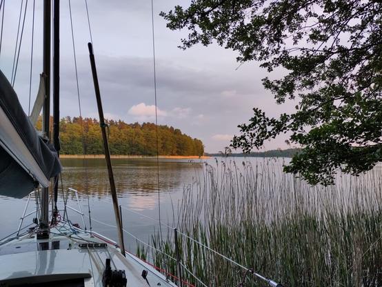 A sailing yacht in the reeds, with the view of a calm evenig lake and the other shore.