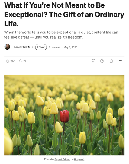 Screenshot of an article by Charles Black M.D. with title "What If You’re Not Meant to Be Exceptional? The Gift of an Ordinary Life." and an image of one red tulip in a field of yellow tulips