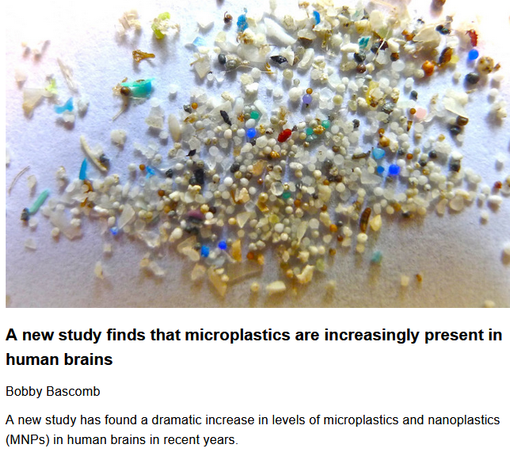 A new study finds that microplastics are increasingly present in human brains
Bobby Bascomb, originally published by Mongabay
May 29, 2025

A new study has found a dramatic increase in levels of microplastics and nanoplastics (MNPs) in human brains in recent years.

"Previous studies have found microplastics associated with certain cancers, cardiovascular disease and harm to human reproductive, digestive and respiratory health.

    “There’s always need for more studies, but we should not wait on findings from more studies to take action,” Landrigan said."