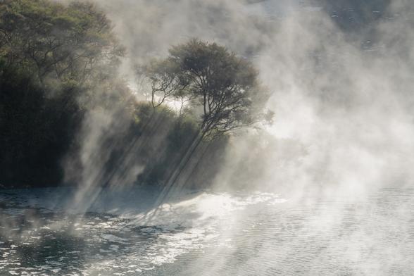 A photo at a geothermal lake with steam rising. There is sunlight hitting a tree at a diagonal angle that cuts through the steam. There is some white foam in the water.
