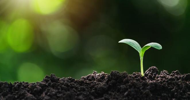 The deadline for getting plant starts and seeds into the ground has arrived. Don’t delay