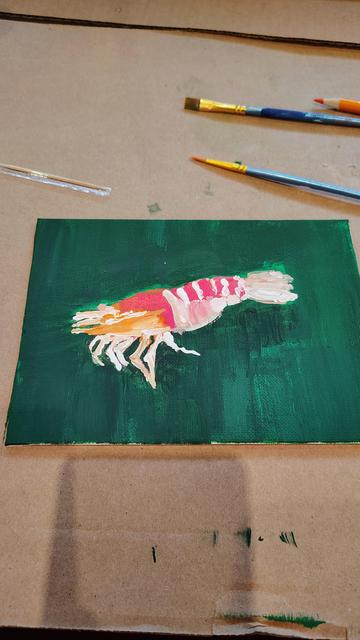 The midpoint where the shrimp is forming in the orange.