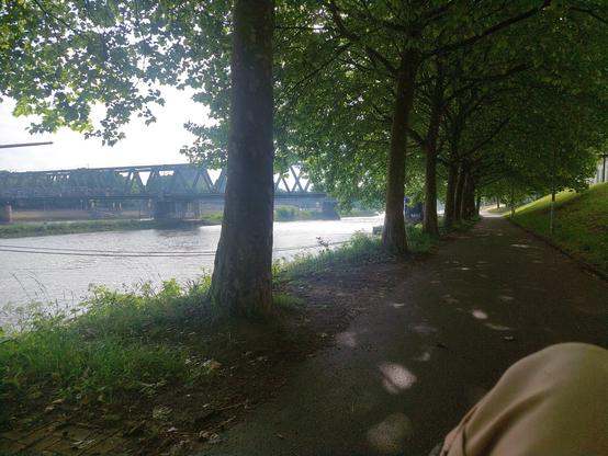 Radweg am Weserufer. Durch die Bäume der Böschung sieht man die Eisenbahnbrücke.