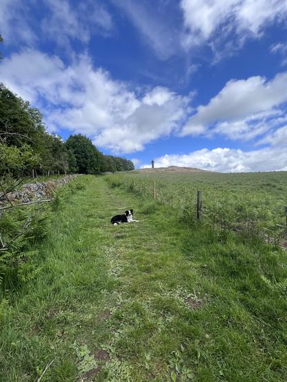 Looking up to the memorial with the dug as always wondering what is keeping me