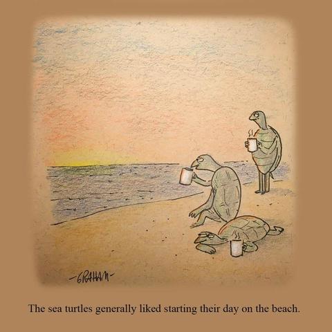 A cartoon illustration of 3 sea turtles sipping coffee and watching the sunrise from a beach. Caption reads "The sea turtles generally liked starting their day on the beach."