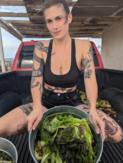 A tattooed person wearing black denim shorts and a black sports bra squats in the bed of a red pickup truck, displaying a metal bin full of lettuces and greens to the camera