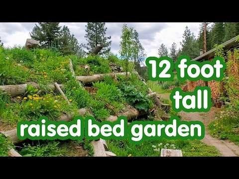 12 foot tall hugelkultur getting planted a couple of weeks ago. You can see the steps and trails we put into it.