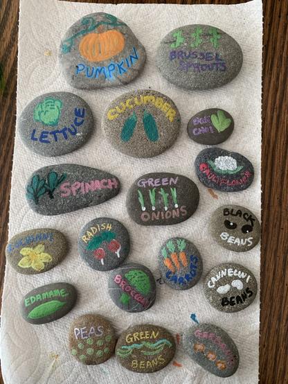 An array of flat gray rocks on a paper towel covering my kitchen table, painted with names and amateurish pictures of different garden veggies (e.g. pumpkin, green onions, cucumber, spinach, broccoli, peas, beans, lettuce, carrots, zucchini (which I mis-spelled).