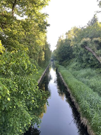 Ein Foto: das schmale Band der Panke in Gesundbrunnen, mit viel grünem Ufergewächs beiderseits. Der Himmel ist strahlend hell, die Sonne ist nicht auf dem Bild.