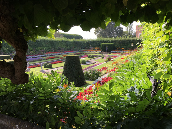 The Pond Gardens are a highlight of the Hampton Court Gardens, especially in spring and summer when vibrant displays of tulips and summer planting fill the space.

These gardens were originally fish ponds made for Henry VIII. In the 1690s, Mary II transformed the Tudor pond yards into sunken gardens to display her rare and exotic plant collection.
