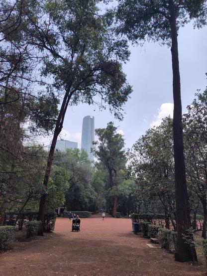 Foto. Park, im Hintergrund ein Hochhaus.