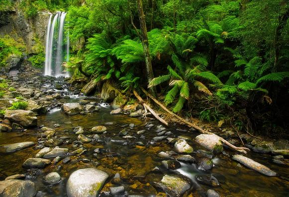 Hopetoun Falls is a captivating 30-metre waterfall nestled in the lush rainforest of Victoria's Great Otway National Park. Located approximately 5 km south of Beech Forest and about 200 km southwest of Melbourne, it is easily accessible via the Apollo Bay–Beech Forest Road. The falls cascade into the Aire River, creating a picturesque scene surrounded by dense ferns and towering eucalyptus trees