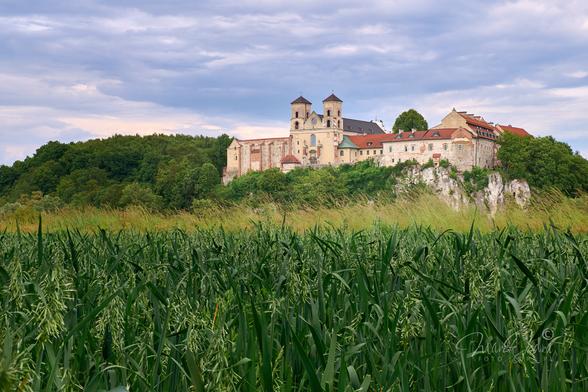The photo shows a large monastery, situated on a limestone hill in the middle of greenery. The frame is divided into 3 equal horizontal parts. One third of the frame from the bottom is a close-up of a dark green oat field, beyond which a narrow strip of yellowish grass peeks out. The middle strip is a tree-covered limestone hill on which stands a sprawling monastery. Limestone rocks are visible only on the right side under the monastery buildings. The upper part of the photo is a cloudy sky with a gray-blue color.