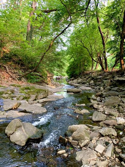 A small creek flowing through the rocky terrain in the woods. Its swift currents keep flowing and disappearing into the woods.