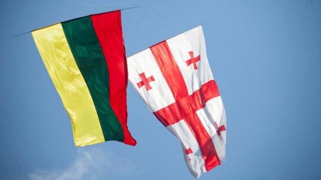Lithuania condemns arrest of Nika Melia