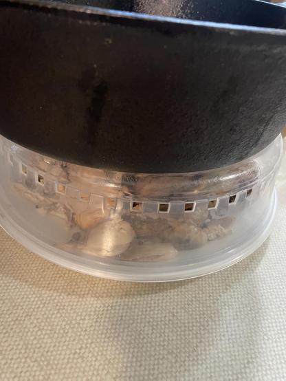 A plate of chicken sits on a plate obscured and covered by a clear plastic circular cover, on top of the cover is a large cast iron pan