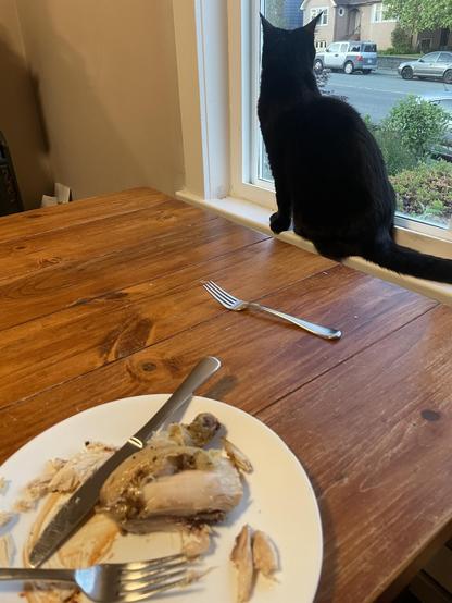 A black cat pretends to look out the window when what she is actually doing is plotting her attack to grab the chicken on the plate a foot away