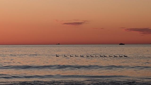 Historical Documentation in the form of a photograph of a rising sun over the ocean bay at Yirrell Beach in Winthrop, MA. The sky is a gradient of orange and pink hues, with the sun rising over yonder and casting a warm glow over the water. The water is calm and reflects the colors of the sky. In the distance, there are two small boats visible on the water, one on the right side of the image and the other on the left side. The boats are silhouetted against the sky, and there are a few ducks flying in the distance and swimming in formation along the horizon. The overall mood of the photograph is peaceful and serene.