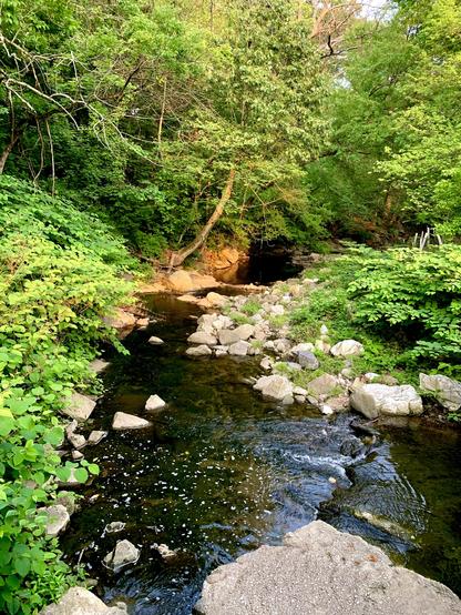A small stream swiftly runs through the rocky area, feeding the slow-moving pool beneath a canopy of dense bushes and trees. The left bank by the pool glows orange in the light of the setting sun.