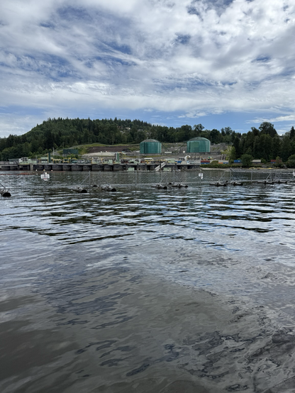 Two big green oil tanks on the shore of Burrard inlet; in the background we see a hill covered with evergreen trees and a blue sky scudded with white clouds.