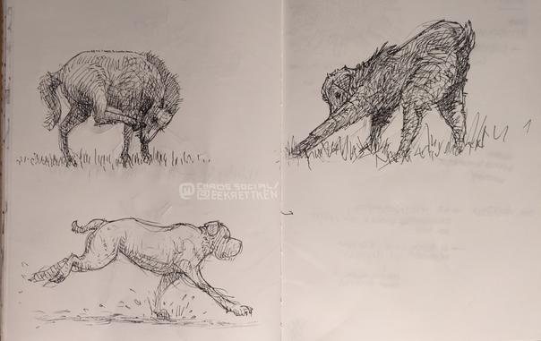 Black Fineliner on paper, sketches.

A pony, standing and taking one hind leg up to the head

A running dog, one front foot on the ground

A little goat, leaning dramatically forwards, stretching one front leg, hiding the snoot.