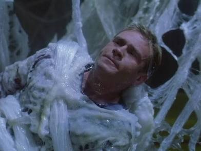 Trip wrapped up in white gooey substance