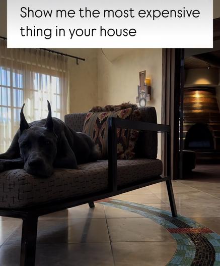 Photo of a black great dane laying on the soft bench in a big room.
'Show me the most expensive thing in your house'