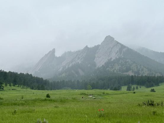 A foggy landscape featuring rugged mountains in the background and a lush green meadow in the foreground, with some trees and distant figures visible.