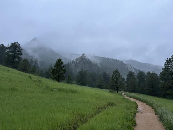 A misty landscape featuring a winding dirt path through lush green grass, leading towards mountains partially obscured by fog. Tall pine trees are scattered throughout the scene, adding to the serene, natural atmosphere.