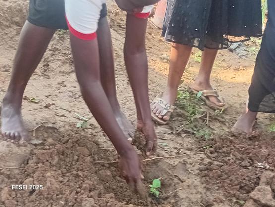 A young girl farmer planting a vegetable