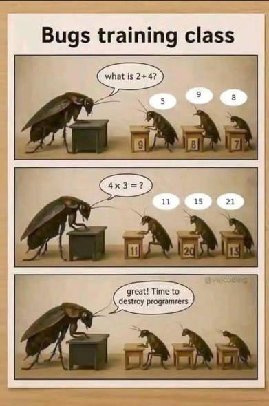A meme titled “Bugs training class” shows cockroaches being taught math with completely wrong answers like 2 + 4 = 5 and 4 × 3 = 20. In the last panel, the teacher bug says, “Great! Time to destroy programmers.” A funny representation of how software bugs are “trained” to ruin code.
