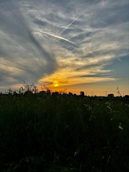 A sunset view is captured, displaying vibrant orange and yellow hues in the sky, complemented by wispy clouds. Silhouettes of grass and distant trees are visible in the foreground, creating a serene natural landscape.