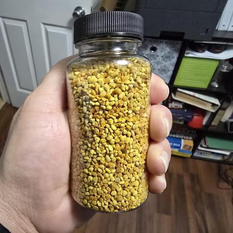 A clear container with a black lid full of different size and color pollen in my hand.