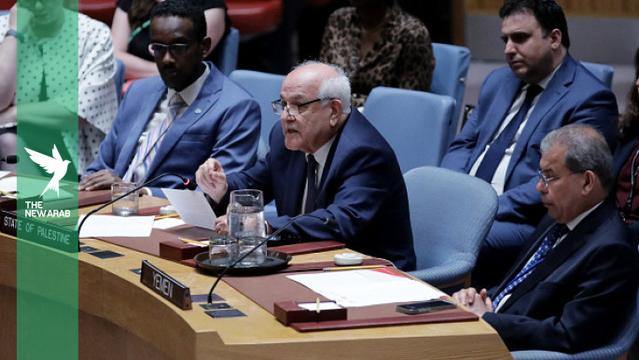Anger as US blocks Gaza ceasefire resolution at Security Council