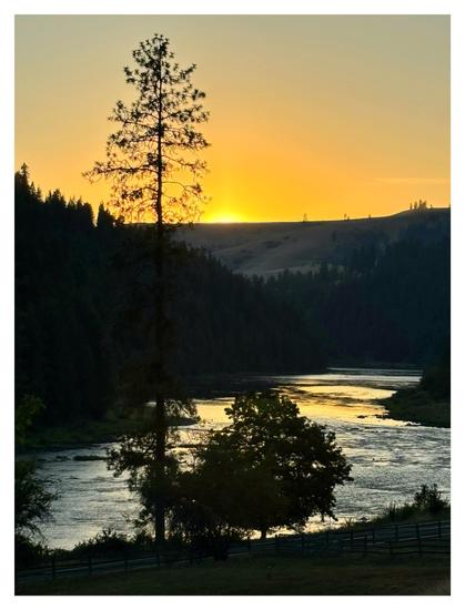 A river scene at sunset. Two trees stand in silhouette in the foreground, side by side: a tall fir to the left and a shorter tree with a rounder crown to the right. Behind them, a wide river winds its way between the shadowy shapes of forested hills. It bends out of sight at a far tree-lined bank, beyond which a bare hilltop rises. The setting sun peers over this hill, its gold and orange glow painted on the clear sky and reflected in the river’s rippling waves.