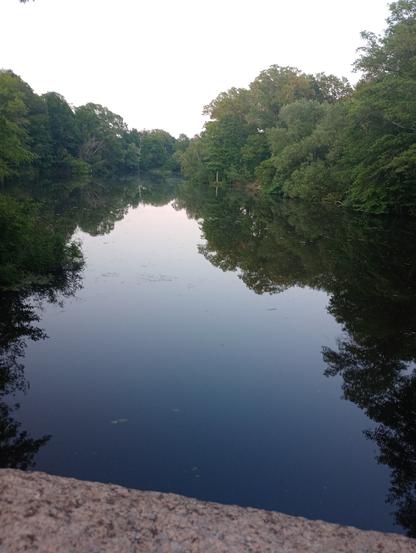 Small pond surrounded with trees