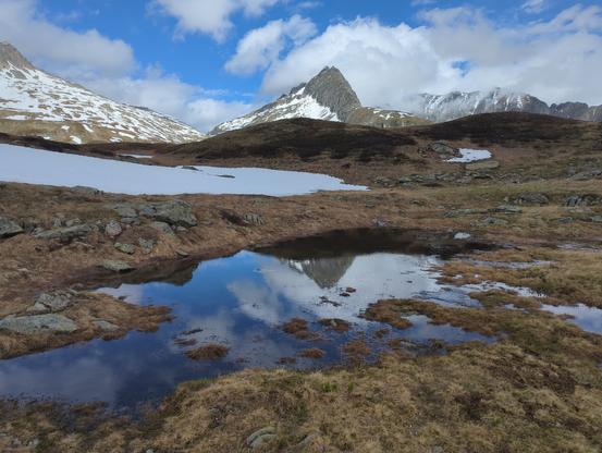 Foto von einer Pfütze in einer winterlich-schnefreien Wiesen. Darin refflektiert sich der leicht bewölkte Himmel und ein Berggipfel. Dieser ist mittig im Hintergrund auch zu sehen. Davor sind zwei Hügel und und ein Schneefeld zu sehen