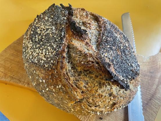 A fresh loaf of seed-covered sourdough bread.