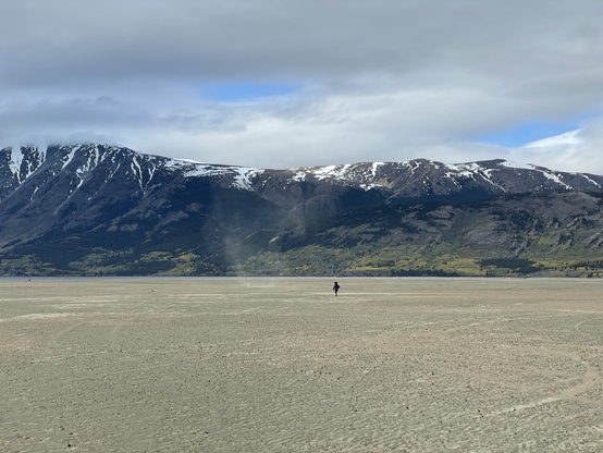 A wide expanse of sand, with a small figure off in the distance, pursuing a column of whirling dust. Snow-capped mountains like in the background.