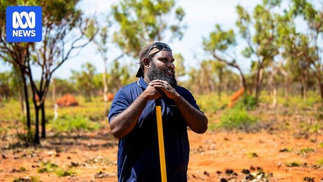 Indigenous employment rules dropped from two-thirds of Commonwealth contracts