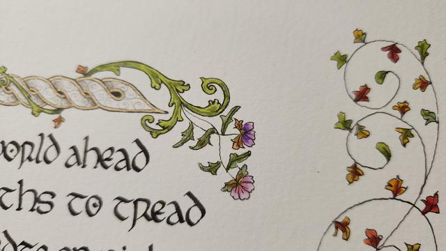 Close up on some flowers on the right-hand side