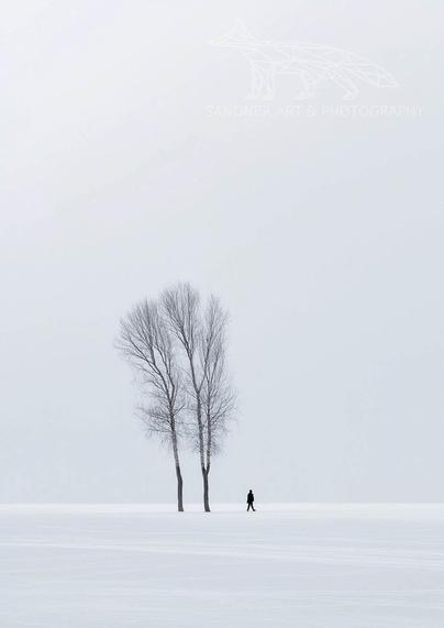 A minimalist winter landscape in Germany featuring a small cluster of tall, leafless trees standing alone on a snow-covered field. The trees are arranged tightly together, their dark trunks and fine branches contrasting starkly against the vast, white foreground and pale, overcast sky. The composition emphasizes negative space and the isolation of the grove, evoking a quiet, contemplative atmosphere.