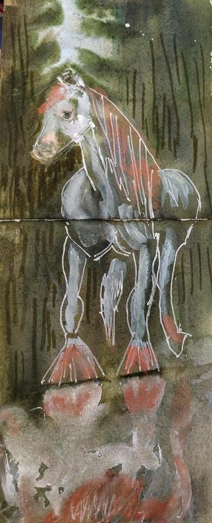 Grey horse in dark forest with reflection in water.