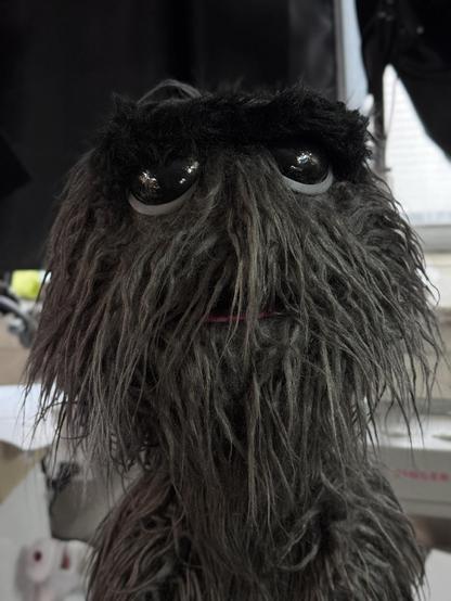 Grey furry live hands monster puppet with large glossy eyes, closeup view with eyes open