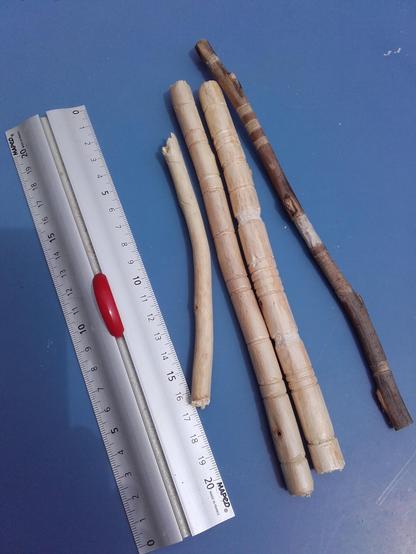 Different sticks beside a ruler showing they are about 20 cm long. Nearly white lime tree wood and a dark twig from a laurel tree. Soem are carved with rings.