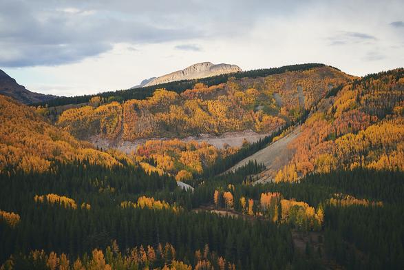 Mountainsides covered by aspen trees in various fall colors, mixed with evergreen trees. A rocky mountain peak rises above the mountainside in the center with a dramatic but bright partly cloudy sky.