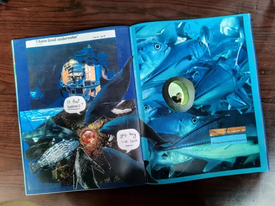 a magazine spread. on the top left is a cutaway illustration of a submersible with the text "i have lived underwater". On the bottom left is an image of dolphins and fish looking into the window of a submersible with humans looking out. one dolphin says "is that humans?" and another says "yep. they live here now."

on the right is a collage of a school of fish with a small person looking out of a window. the text says "fulfill your dream of being surrounded by water."
