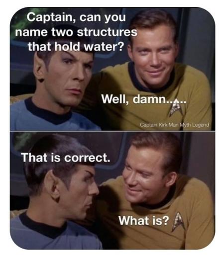 Kirk and Spock are talking. Spock asks, "Captain, can you name two structures that hold water?"

Kirk replies, "Well, damn..."

Spock says, "That is correct."

Kirk, smiling and oblivious, asks, "What is?"