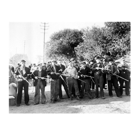 Newton vigilantes, with rifles, standing in a line, with guns raised.