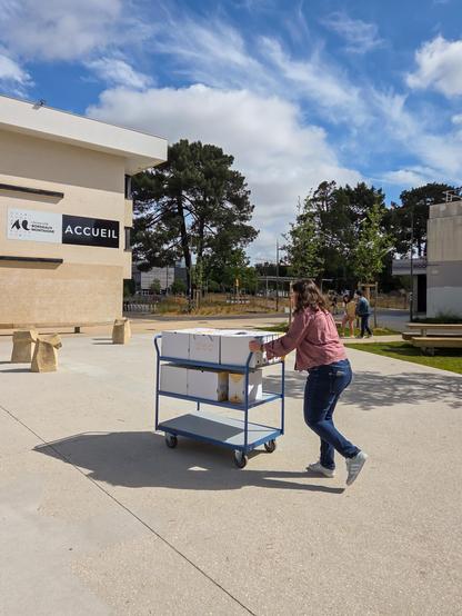 Modestine Lesquoy, transfert d'archives entre les bureaux et les locaux de conservation